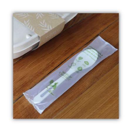 World Centric TPLA Compostable Cutlery, Spoon, 6", White, 750/Carton (SPPSI)