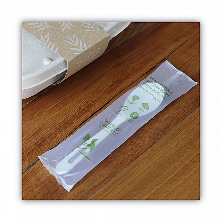 TPLA Wrapped Cutlery, Spoon, Plastic, Light Beige, 750/Carton (SPPSI)