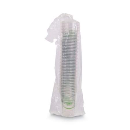 Eco-Products GreenStripe Renewable and Compostable Cold Cups Convenience Pack, Clear, 16 oz, 50/Pack (EPCC16GSPK)