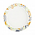 Deerfield Printed Paper Plates, 9