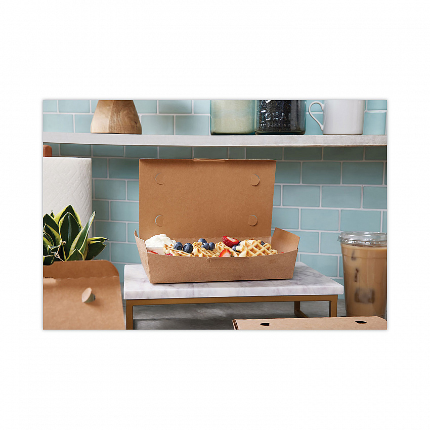 EarthChoice Tamper Evident OneBox Paper Box, 9.7 x 5.6 x 2, Brown, 100/Carton (NOB02KECTE)