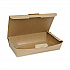 EarthChoice Tamper Evident OneBox Paper Box, 9.7 x 5.6 x 2, Brown, 100/Carton (NOB02KECTE)