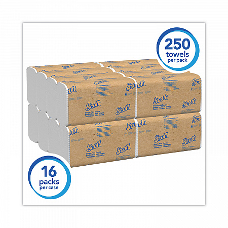 Essential Single-Fold Towels, Absorbency Pockets, 9.3 x 10.5, 250/Pack, 16 Packs/Carton (01700)