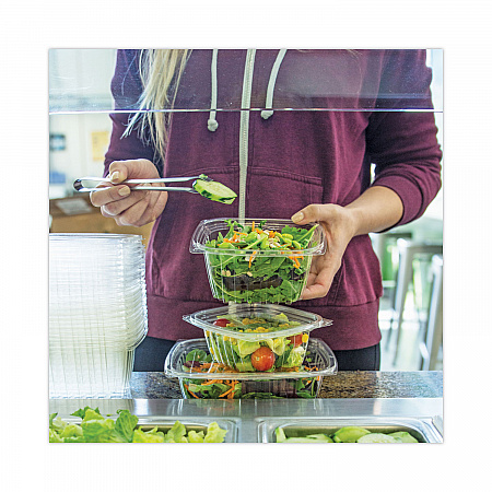 PLA Rectangular Deli Containers, 16 oz, 4.8 x 5.9 x 2.8, Clear, Plastic, 900/Carton (RDCS16)