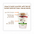 PLA Clear Cold Cups, 12 oz, Plastic, Clear, 1,000/Carton (CPCS12)