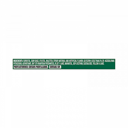 Sugar-Free Gum, Spearmint, 14 Pieces/Pack, 12 Packs/Carton (30400008)