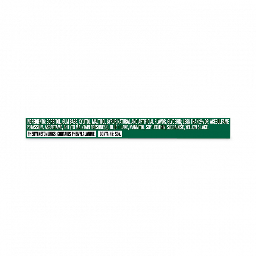 Sugar-Free Gum, Spearmint, 14 Pieces/Pack, 12 Packs/Carton (30400008)
