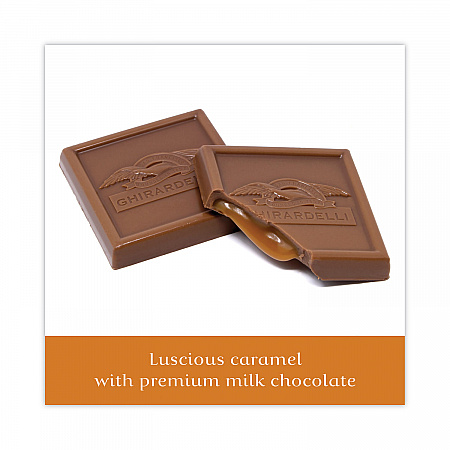 Milk Chocolate and Caramel Chocolate Squares, 9.04 oz Bags, 2 Bags/Pack (30001034)