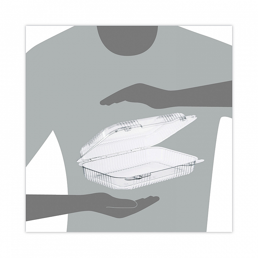StayLock Clear Hinged Lid Containers, 6.8 x 9.4 x 2.1, Clear, Plastic, 125/Pack, 2 Packs/Carton (PET30UT1)