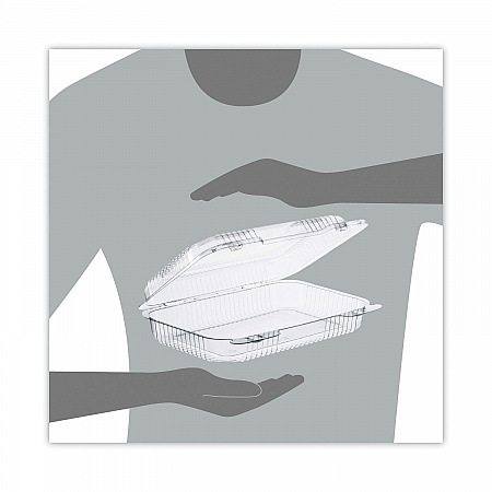 StayLock Clear Hinged Lid Containers, 9.4 x 6.8 x 2.1, Clear, Plastic, 250/Carton (C30UT1)