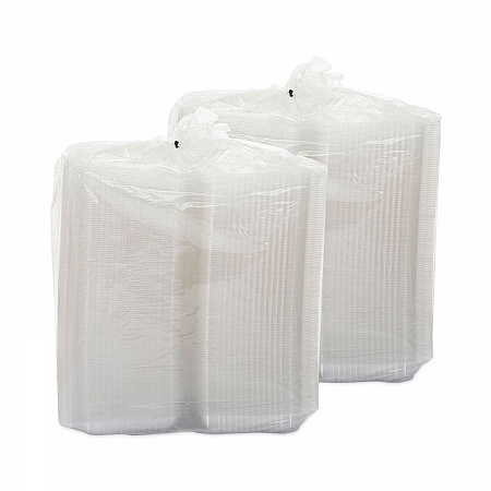 StayLock Clear Hinged Lid Containers, 9.4 x 6.8 x 2.1, Clear, Plastic, 250/Carton (C30UT1)