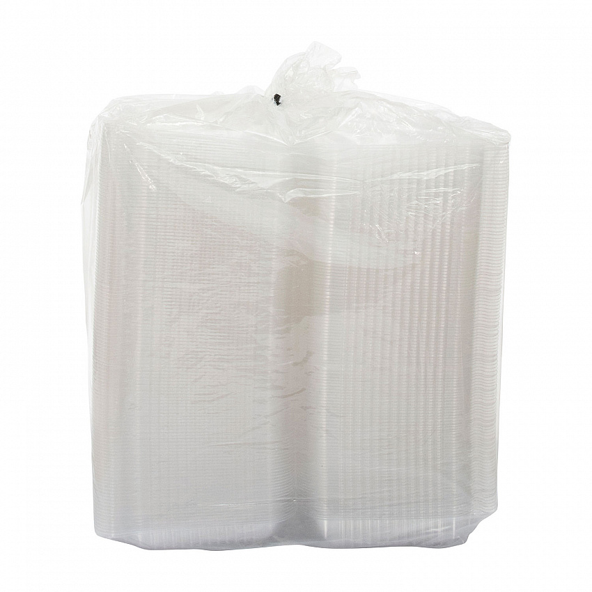 StayLock Clear Hinged Lid Containers, 9.4 x 6.8 x 2.1, Clear, Plastic, 250/Carton (C30UT1)