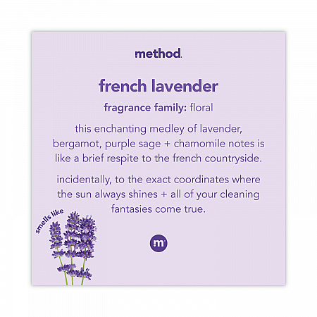 Foaming Hand Wash, French Lavender Scent, 10 oz (383154)