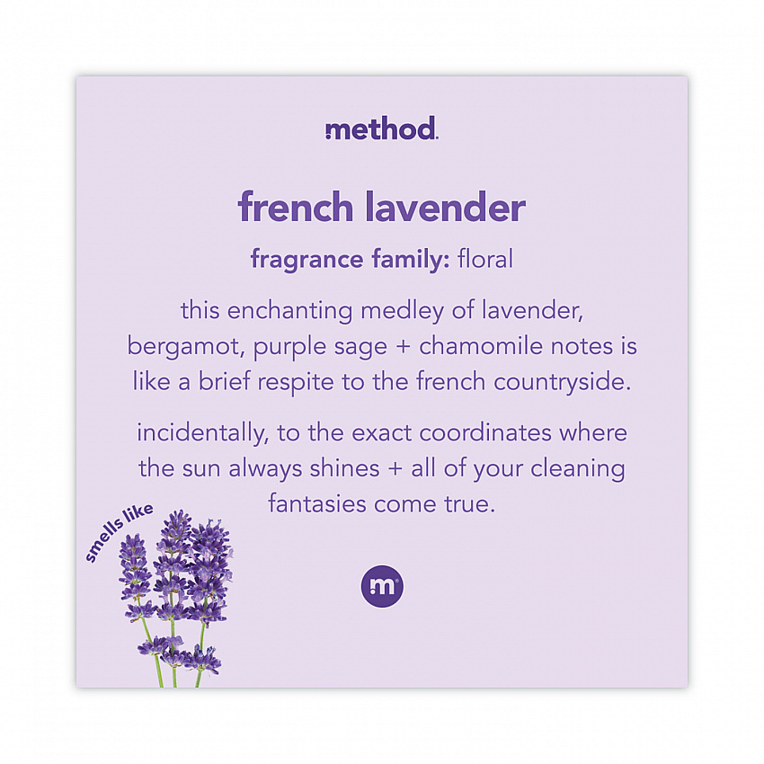 Foaming Hand Wash, French Lavender Scent, 10 oz (383154)