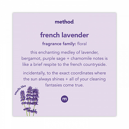 Foaming Hand Wash, French Lavender Scent, 10 oz, 6/Carton (383154CT)