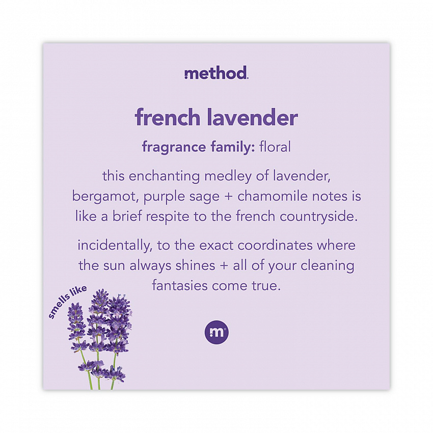 Foaming Hand Wash, French Lavender Scent, 10 oz, 6/Carton (383154CT)