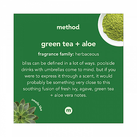 Foaming Hand Wash, Green Tea and Aloe Scent, 10 oz (00362)