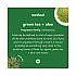 Foaming Hand Wash, Green Tea and Aloe Scent, 10 oz (00362)