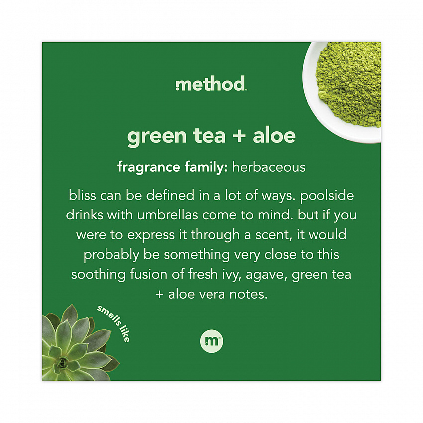 Foaming Hand Wash, Green Tea and Aloe Scent, 10 oz (00362)
