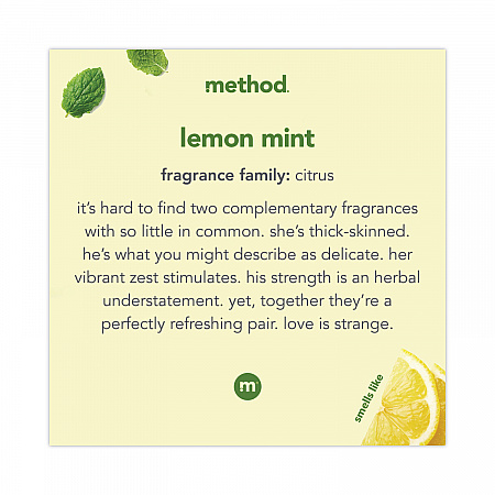 Foaming Hand Wash, Lemon Mint Scent, 10 oz (01162)