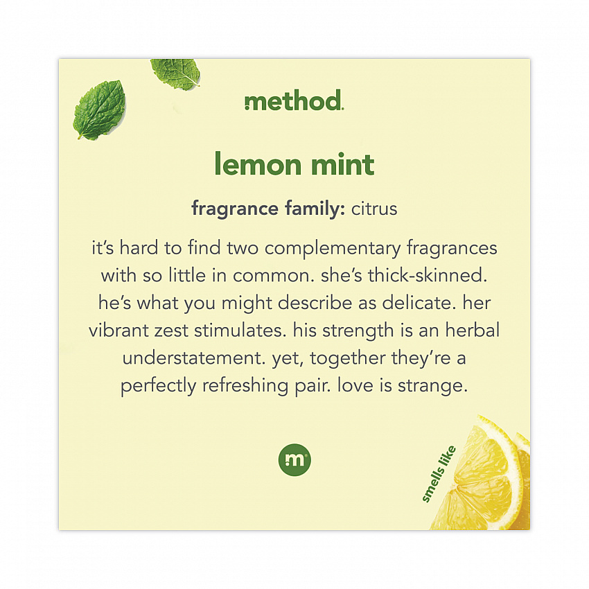 Foaming Hand Wash, Lemon Mint Scent, 10 oz (01162)