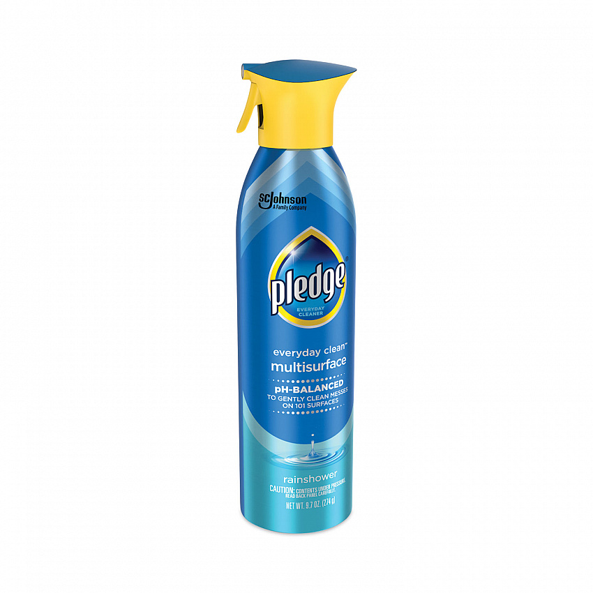 Multi-Surface Everyday, Rainshower Scent, 9.7 oz Aerosol Spray (339851EA)