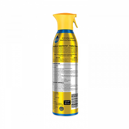Multi Surface Antibacterial Everyday Cleaner, Citrus Scent, 9.7 oz Aerosol Spray (336276EA)