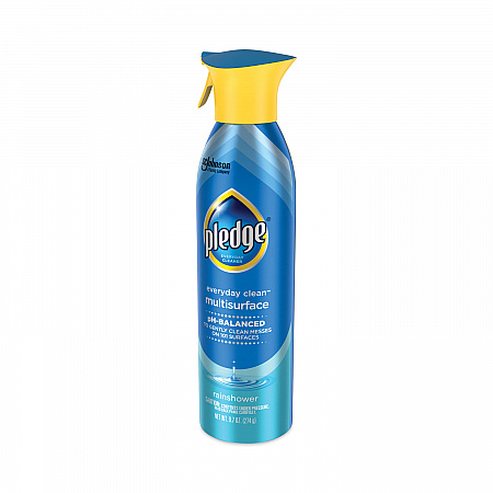 Multi-Surface Everyday, Rainshower Scent, 9.7 oz Aerosol Spray (339851EA)