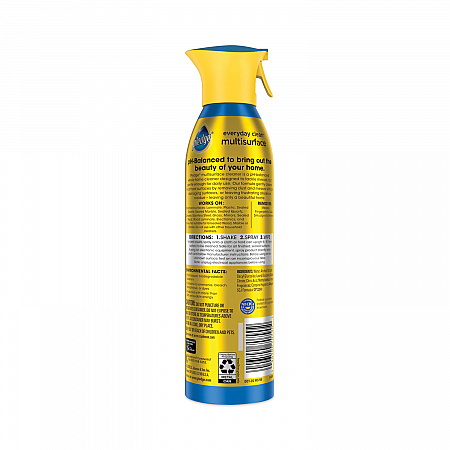 Multi-Surface Everyday, Rainshower Scent, 9.7 oz Aerosol Spray (339851EA)
