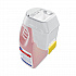 Final Step Sanitizer, Liquid, 2.5 L Intake System (101105267)