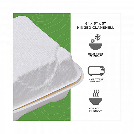 Molded Fiber Hinged Clamshell Containers, 6 x 6 x 3, White, Sugarcane, 50/Pack, 10 Packs/Carton (EPHC6)