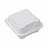 Molded Fiber Hinged Clamshell Containers, 6 x 6 x 3, White, Sugarcane, 50/Pack, 10 Packs/Carton (EPHC6)