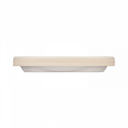 ECOSAVE Tableware, Plate, Sugarcane, 6.75