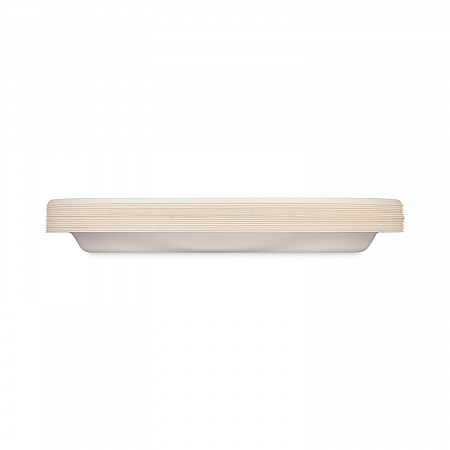 ECOSAVE Tableware, Plate, Sugarcane, 10.13