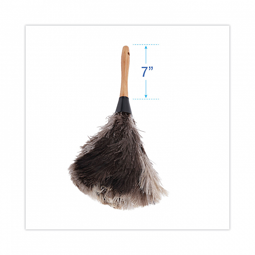 Professional Ostrich Feather Duster, 7" Wood Handle (13FD)