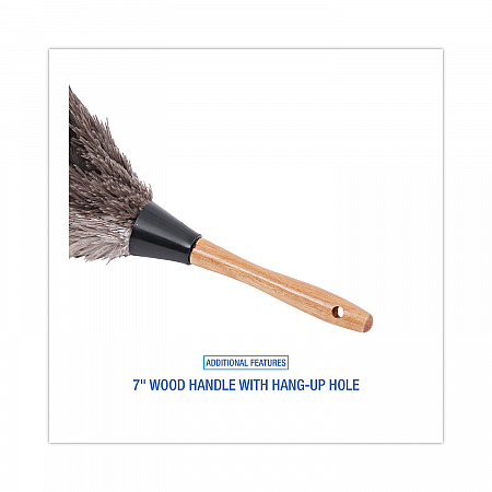Professional Ostrich Feather Duster, 7
