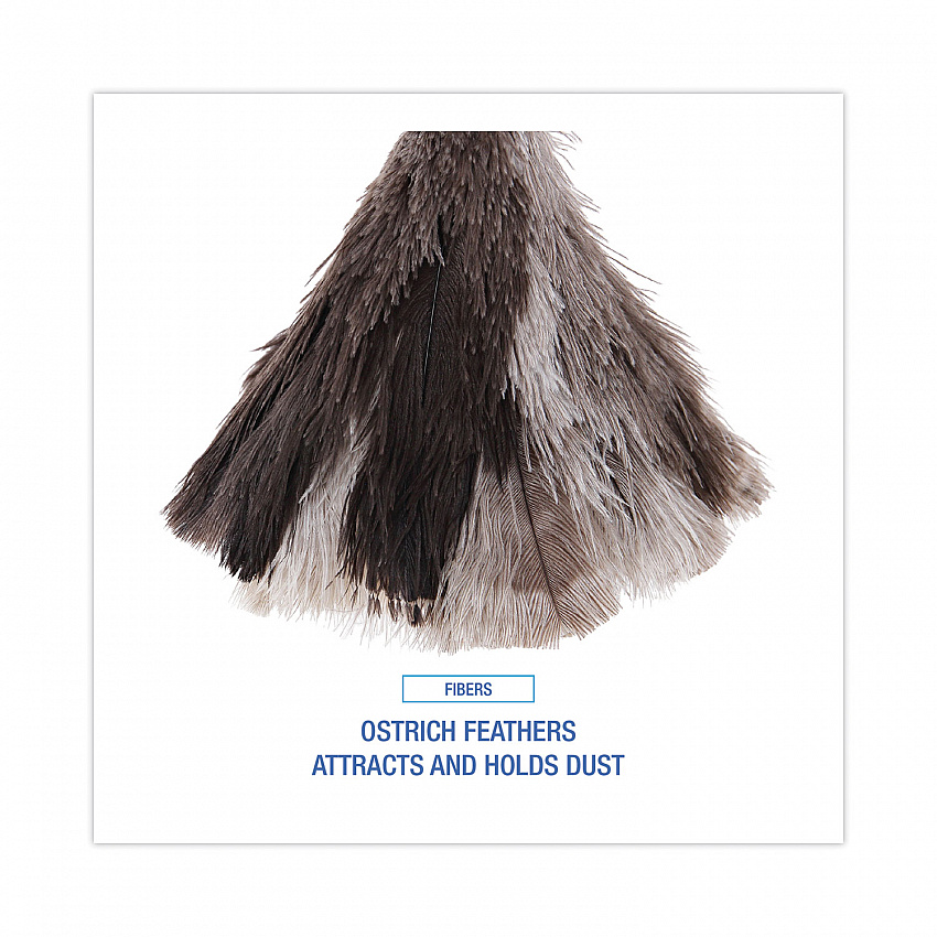 Professional Ostrich Feather Duster, 7" Wood Handle (13FD)