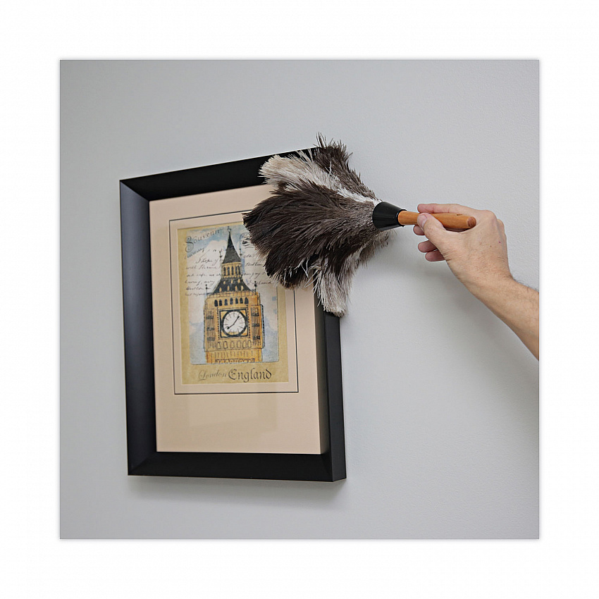 Professional Ostrich Feather Duster, 7" Wood Handle (13FD)