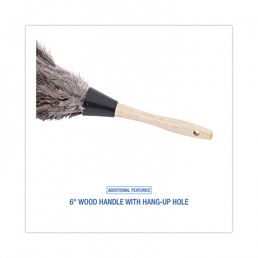 Professional Ostrich Feather Duster, 6" Wood Handle (14FD)