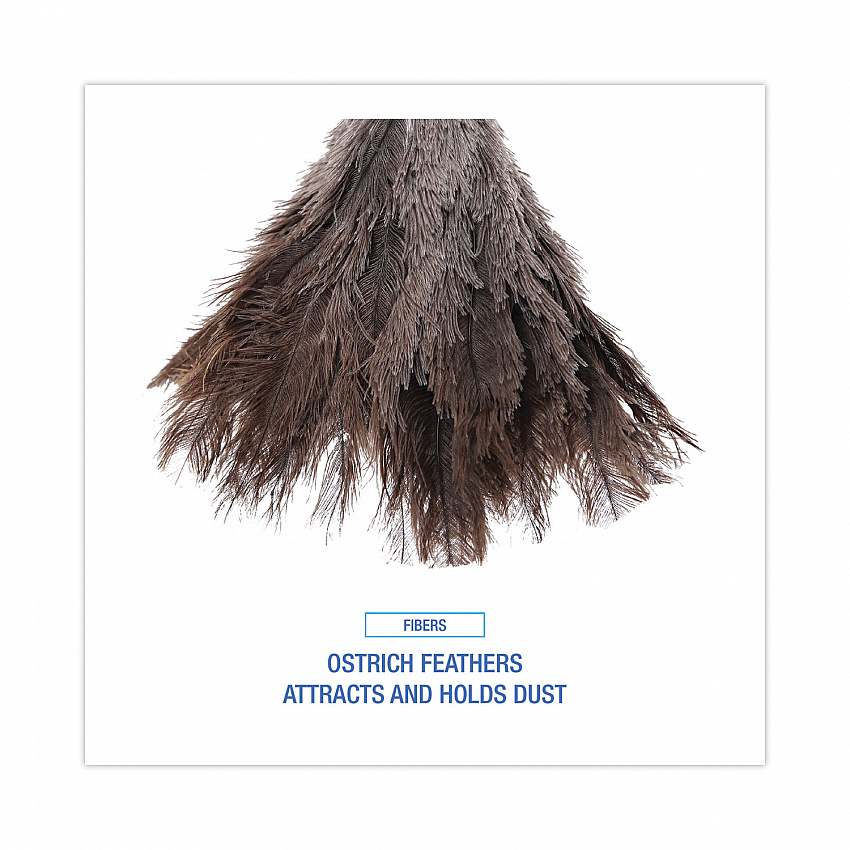 Professional Ostrich Feather Duster, 6" Wood Handle (14FD)