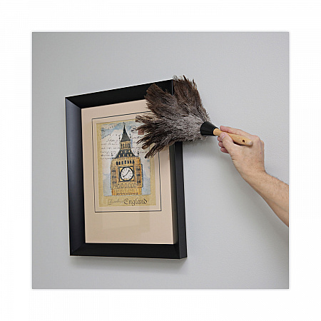 Professional Ostrich Feather Duster, 6