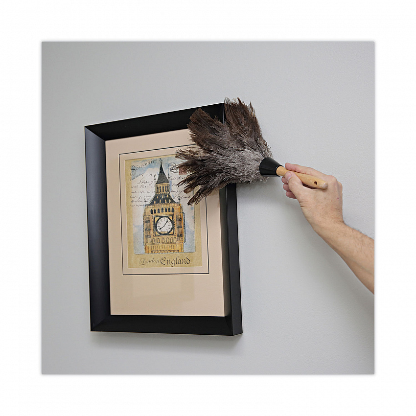 Professional Ostrich Feather Duster, 6" Wood Handle (14FD)