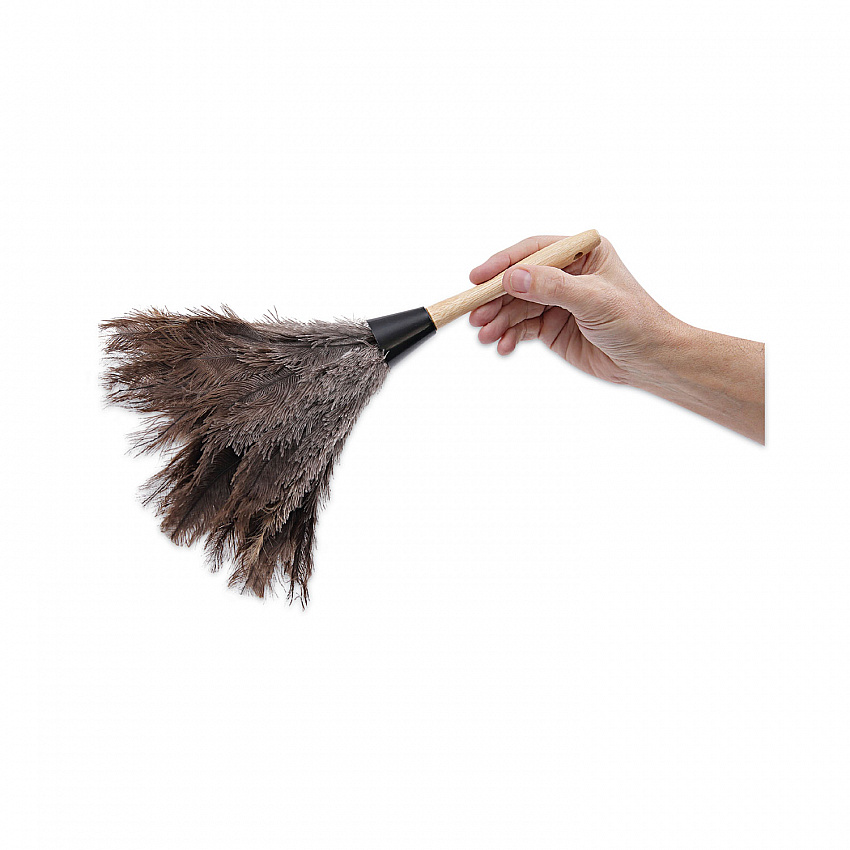 Professional Ostrich Feather Duster, 6" Wood Handle (14FD)