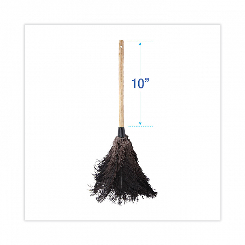 Professional Ostrich Feather Duster, 10" Wood Handle (20BK)