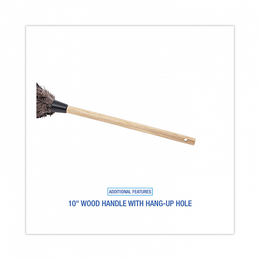 Professional Ostrich Feather Duster, 10" Wood Handle (20BK)