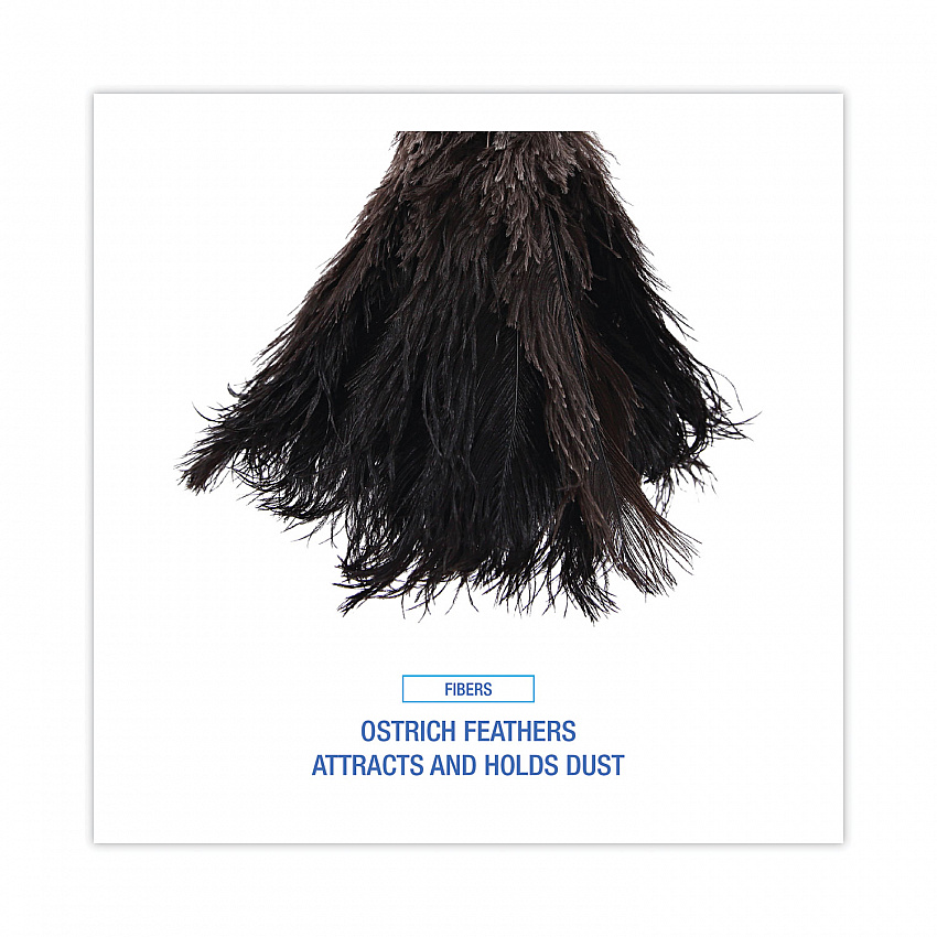 Professional Ostrich Feather Duster, 10" Wood Handle (20BK)