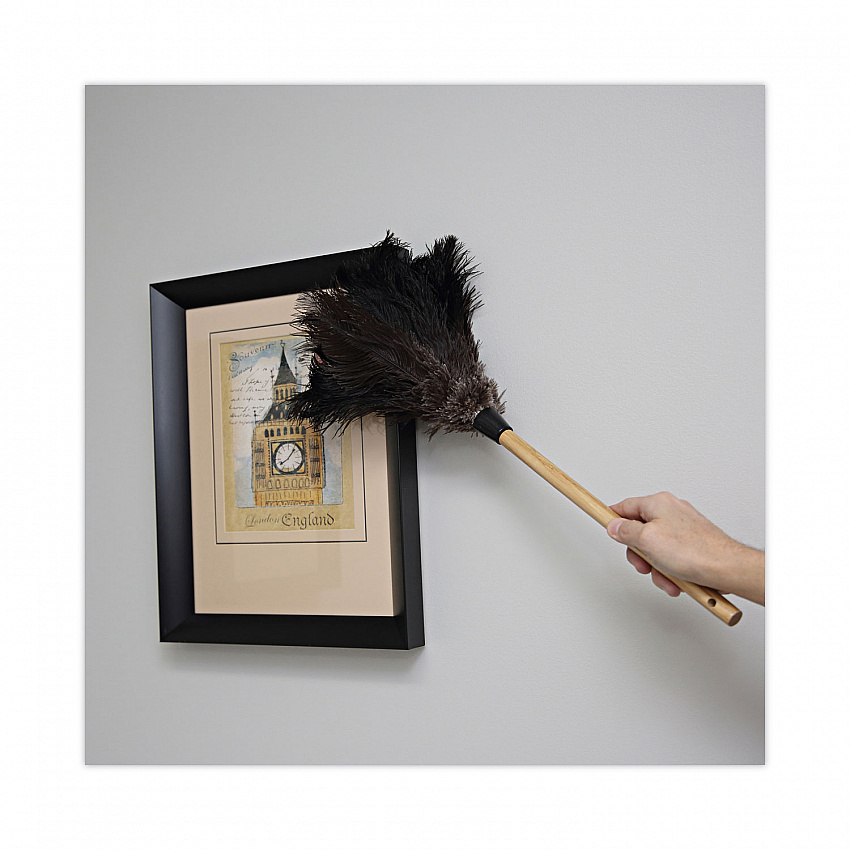 Professional Ostrich Feather Duster, 10" Wood Handle (20BK)