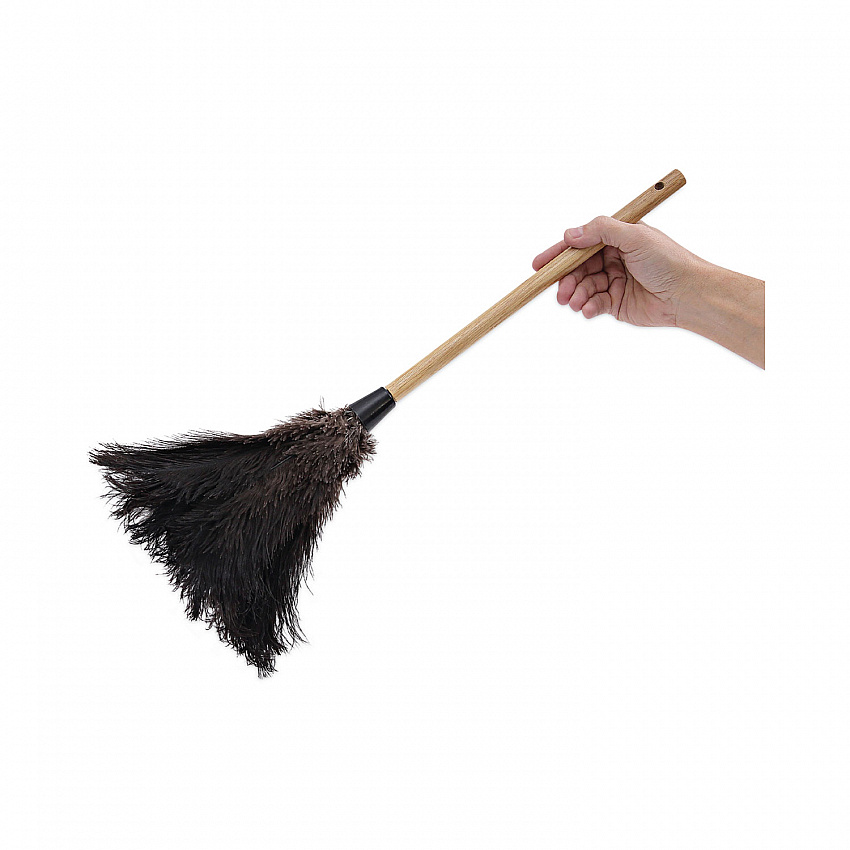 Professional Ostrich Feather Duster, 10" Wood Handle (20BK)