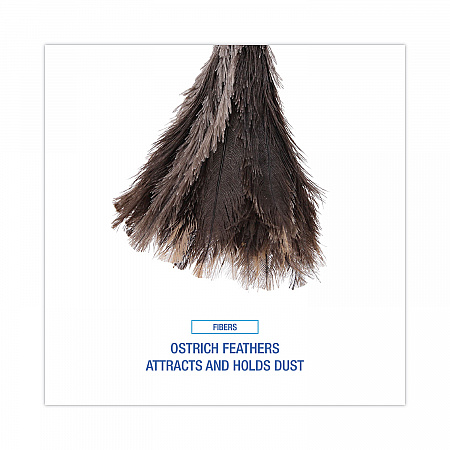 Professional Ostrich Feather Duster, 13