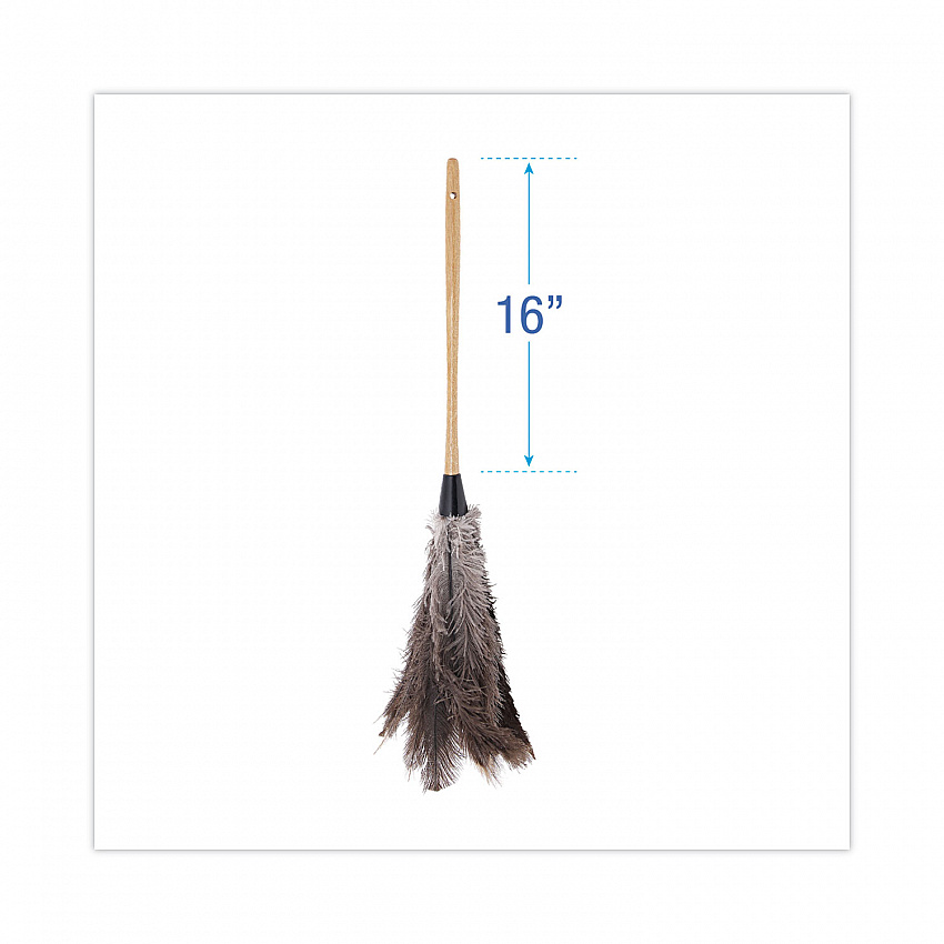 Professional Ostrich Feather Duster, 16" Wood Handle, 12" Gray Bristle (31FD)